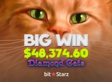 Big Slot Win at Bitstarz