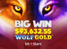 Wolf Gold SLot